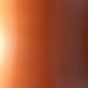 Meet your Posher, Shauna